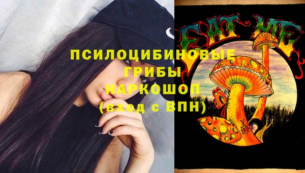 ПСИЛОЦИБИНОВЫЕ ГРИБЫ Балабаново