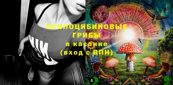 ПСИЛОЦИБИНОВЫЕ ГРИБЫ Балабаново
