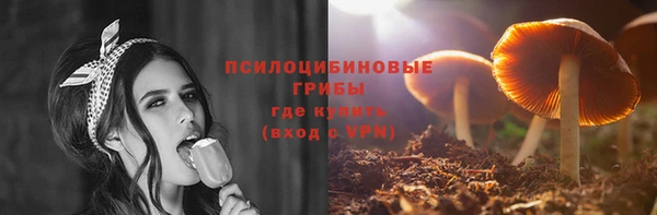 крисы Балахна