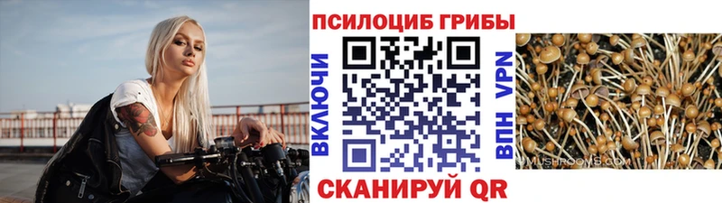 цена   Югорск  Галлюциногенные грибы прущие грибы 