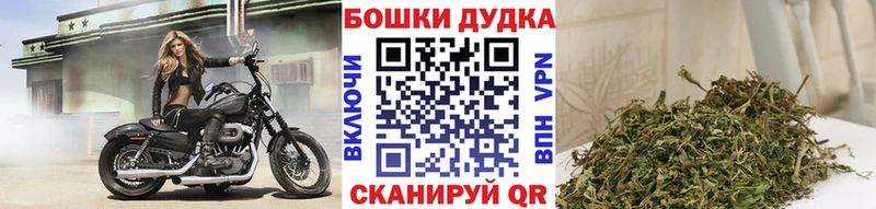 Конопля план Югорск